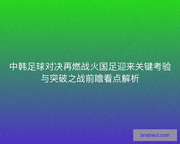 中韩足球对决再燃战火国足迎来关键考验与突破之战前瞻看点解析